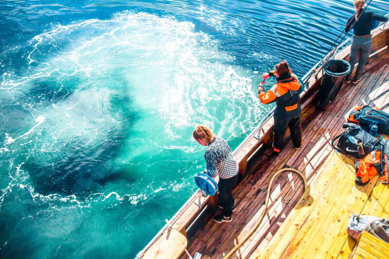 Lofoten: Traditional Fishing Trip - FAQ