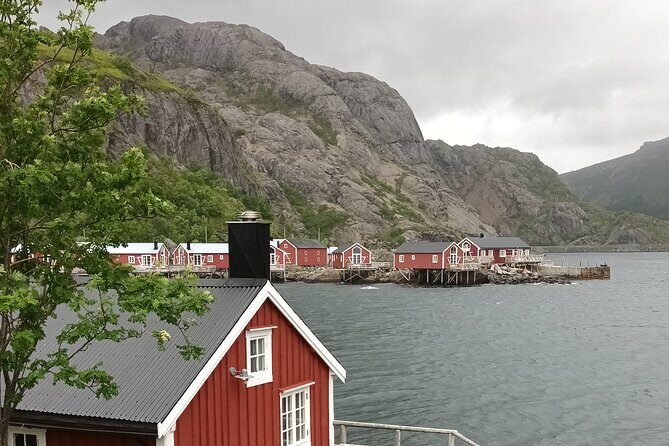 Lofoten VIP PRIVATE Tour from Leknes city / port - Who Should Consider This Tour?