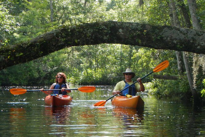 Lofton Creek Kayaking Trip with Professional Guide - Key Points