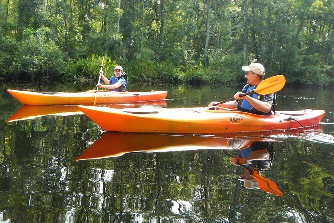 Lofton Creek Kayaking Trip with Professional Guide - Who Should Consider This?