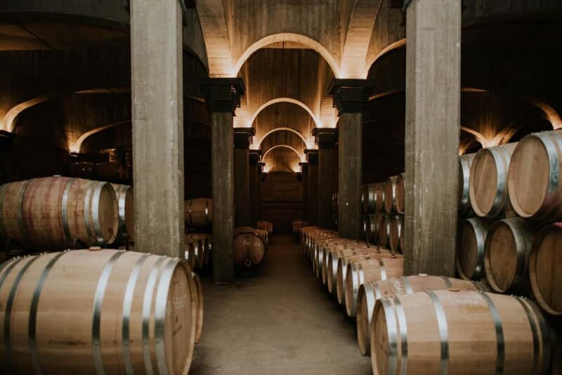 Logroño: Guided visit with tasting of 3 wines and appetizer at Viña Ijalba. - Authenticity and Education: Why It Matters