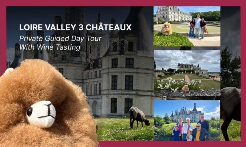 Loire Castles Day Trip & Wine Tasting - Who Should Consider This Tour?