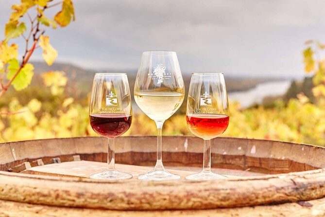 Loire Valley 2 Days private tour all inclusive from Paris with train tickets - A Deep Dive into the Loire Valley 2-Day Tour