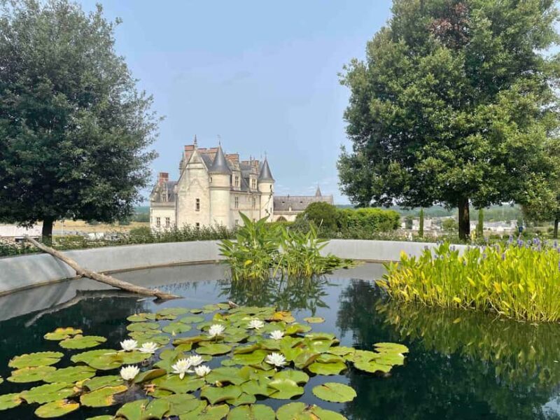 Loire Valley: Château Royal d'Amboise Entrance Ticket - Explore the Château Royal dAmboise in the Loire Valley