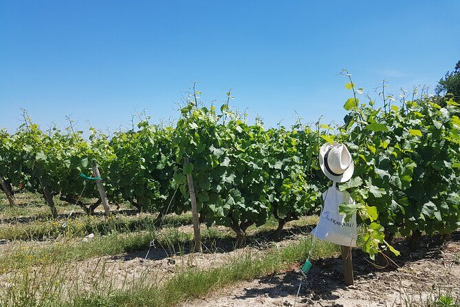 Loire Valley Day from Tours : Azay-le-Rideau, Villandry, Winery - Final Thoughts