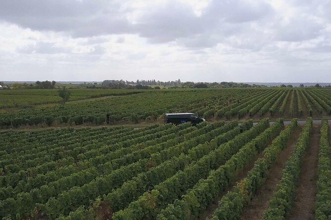 Loire Valley Half Day Wine Tour from Tours : Vouvray Wine Tasting - An In-Depth Look at the Loire Valley Vouvray Wine Tour