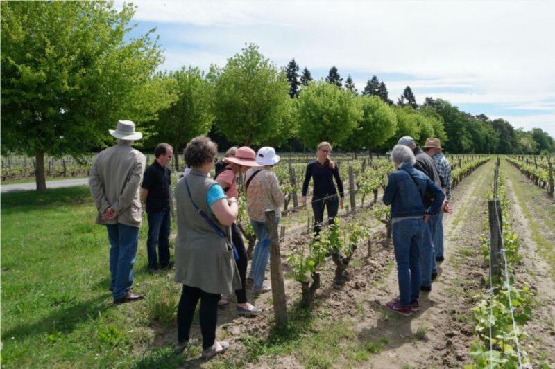 Loire Valley Tour & Wine Tasting Vouvray, Chinon, Bourgueil - Who Will Love This Tour?