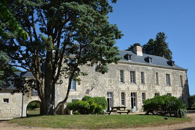 Loire Valley Wines Private Day Tour with Tastings from Tours or Amboise - A Closer Look at the Loire Valley Wines Tour