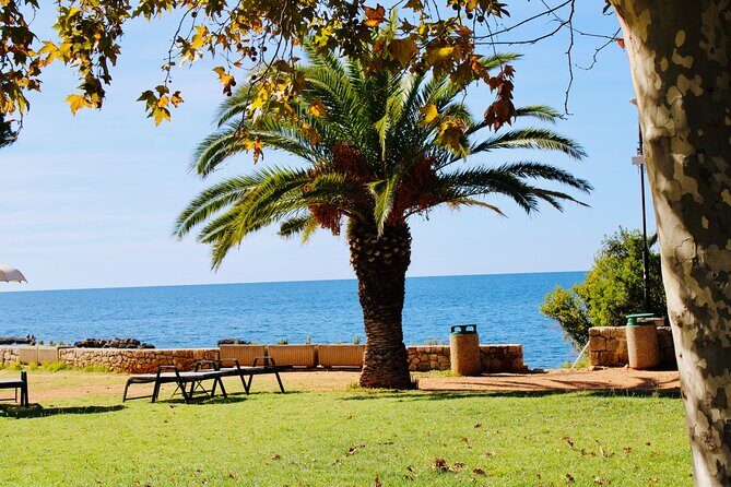 Lokrum Island Transfer with Panoramic Cruise from Dubrovnik - A Well-Balanced Taste of Dubrovnik’s Coastal Charm