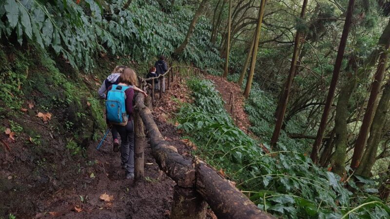 Lomba de São Pedro: Waterfall Hiking Tour with Tea Tasting - FAQ
