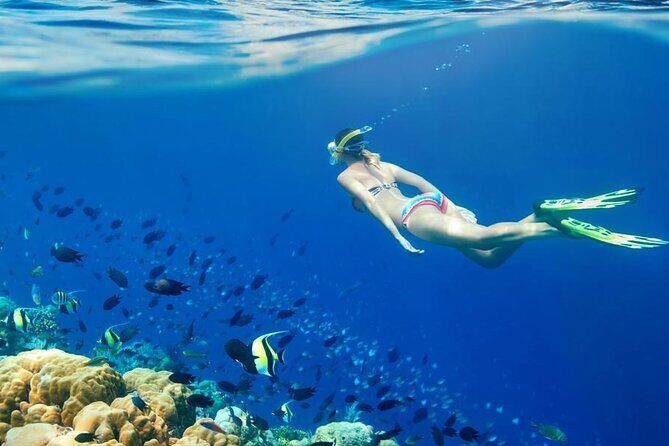 Lombok Pink Beach Boat Trip (Full Day + Snorkeling) - Final Thoughts