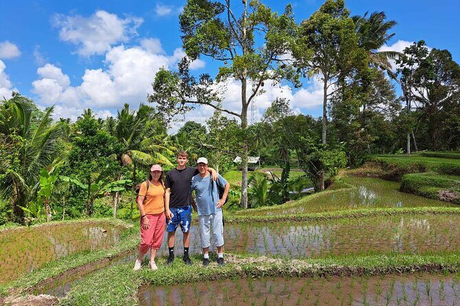 Lombok Private Customize Full Day Trip - Transport and Comfort