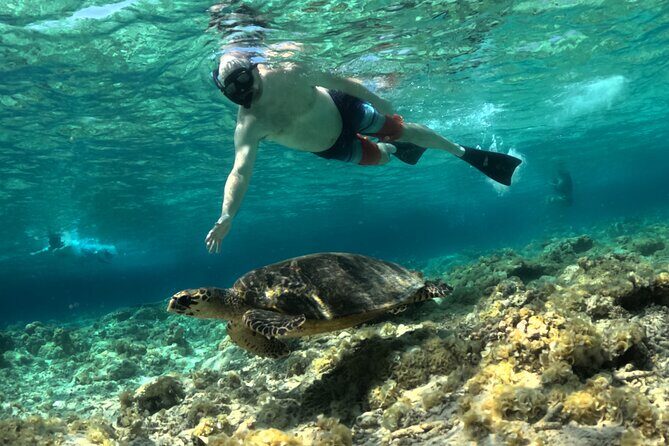 Lombok Private Customize Full Day Trip - FAQ