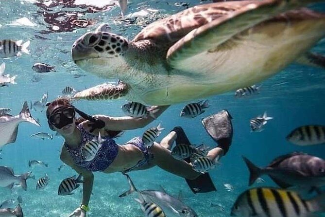 Lombok Tour Package, 4 Days 3 Nights - FAQ