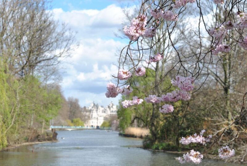 London: 4-Hour Panoramic Tour by Black Taxi - What to Expect from the 4-Hour Black Taxi Tour