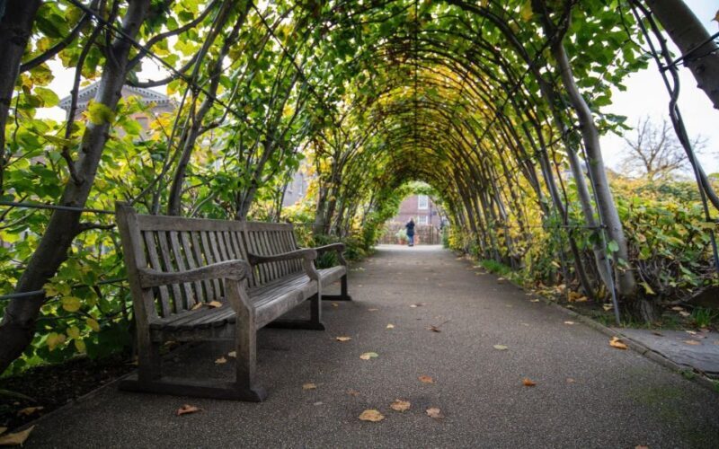 London Afternoon Tea, Fast-Track Kensington Palace Tickets - Who Would Enjoy This Tour?