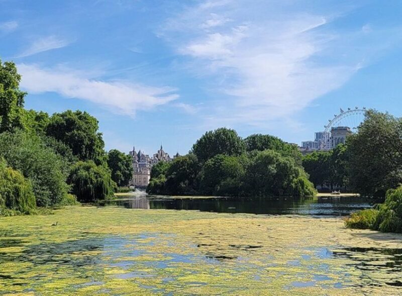 London: Buckingham, Big Ben & Westminster Abbey Tour - Who Will Love This Tour?