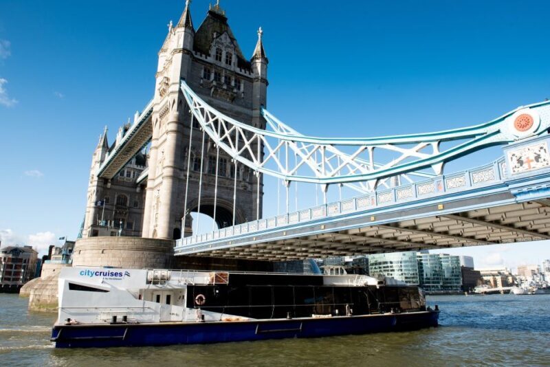 London: Christmas Day Sightseeing Cruise - Who Should Consider This Tour?