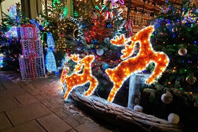 London Christmas Lights Bike Tour with Local Guide - The Sum Up