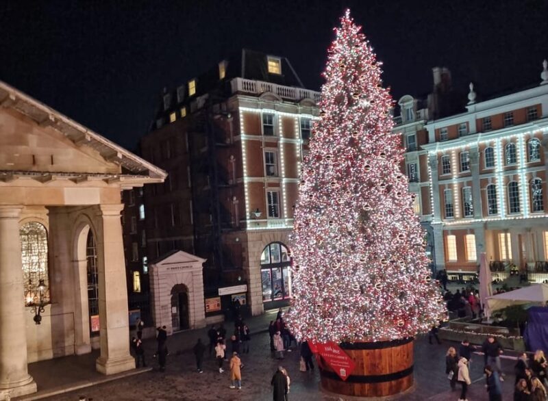 London: Christmas Lights Guided Walking Tour - Practical Tips for Travelers