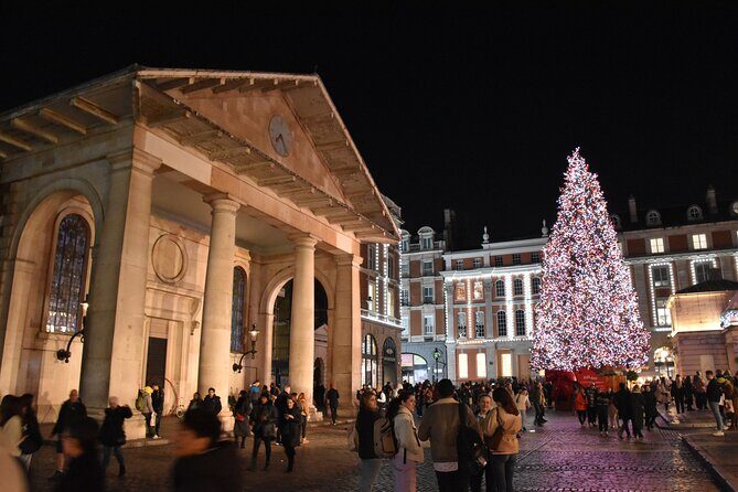 London Christmas Lights Private Walking Tour - FAQ
