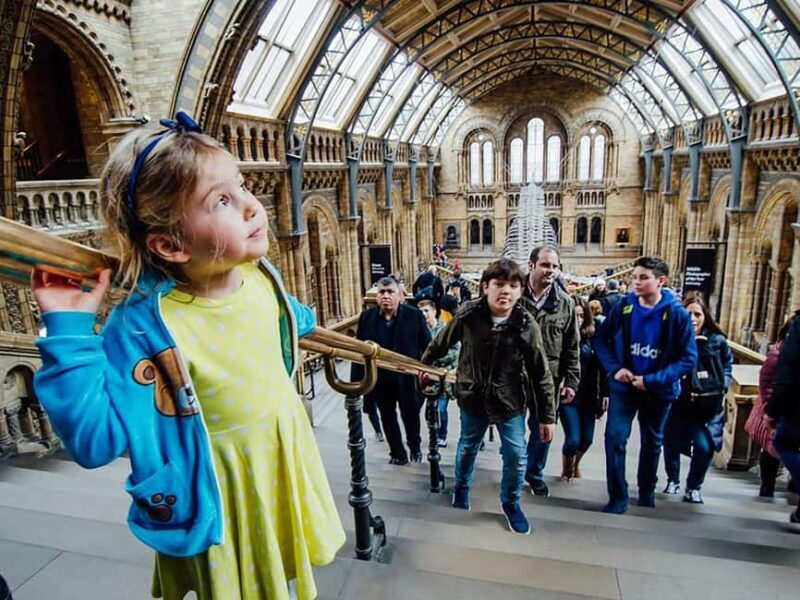 London: Guided Exploration at the Museum of Natural History - Final Thoughts: Is This Tour Right for You?