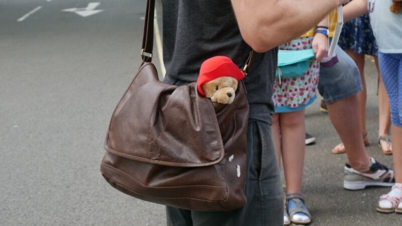 London: Guided Paddington Bear Walking Tour - Final Thoughts