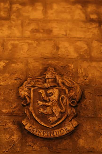 London: Harry Potter Guided Walking Tour - Who Will Love This Tour?