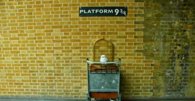 London: Harry Potter Tour, River Cruise & The London Dungeon - Who Will Love This Tour?