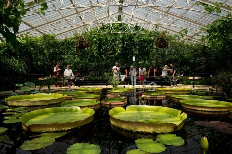 London: Kew Gardens Admission Ticket - Final Thoughts