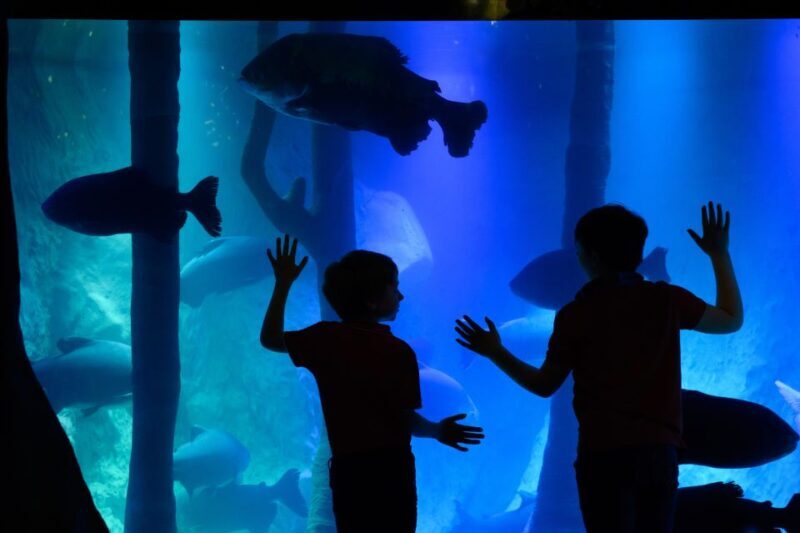 London: Madame Tussauds, SEA LIFE and London Dungeon Entry - Key Points