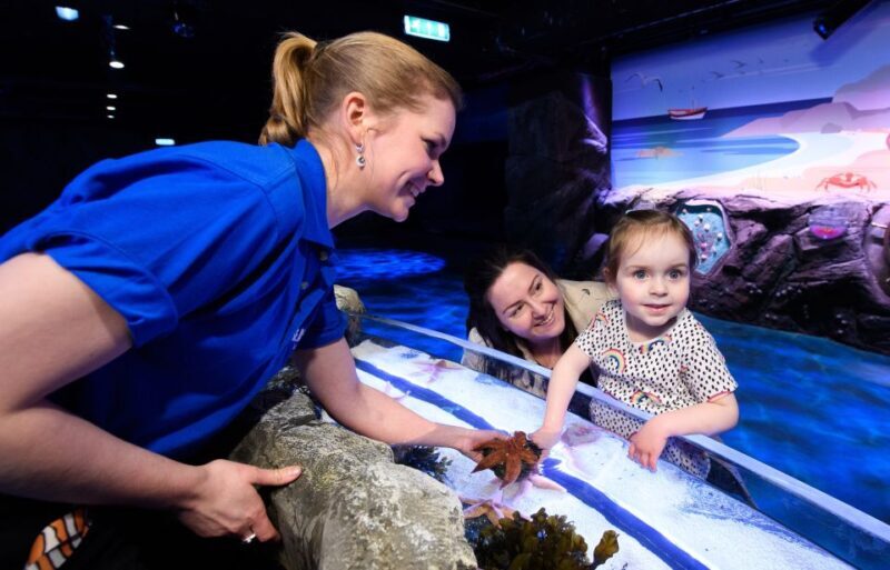 London: Madame Tussauds, SEA LIFE and London Dungeon Entry - FAQ