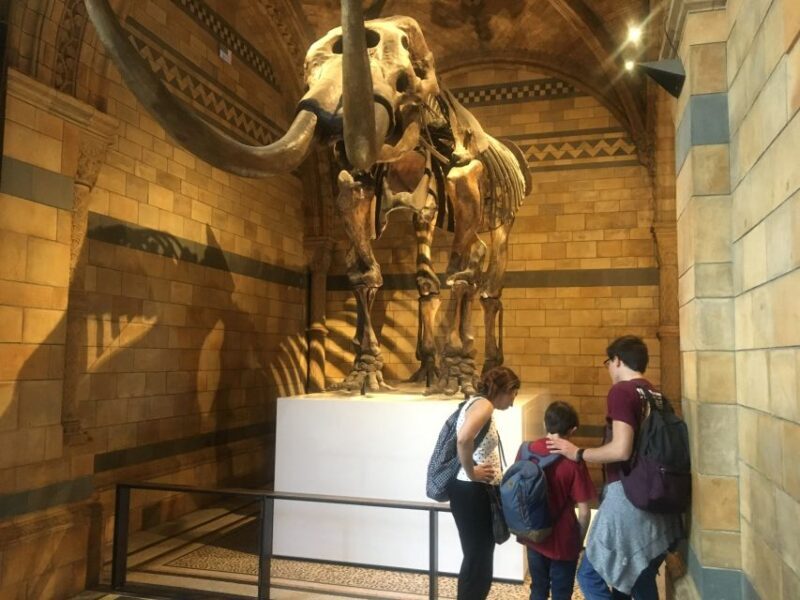 London: Natural History Museum Entry Ticket and Guided Tour - In-Depth Review of the London Natural History Museum Guided Tour