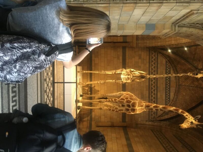 London: Natural History Museum Entry Ticket and Guided Tour - Final Thoughts: Is This Tour Right for You?