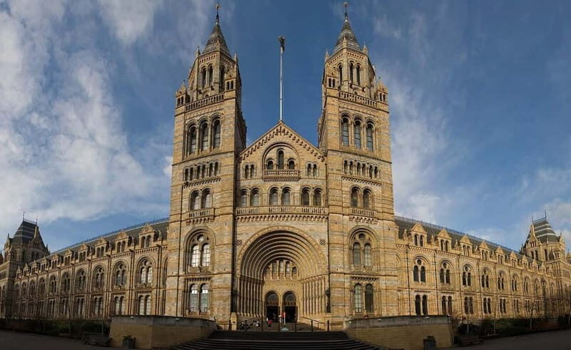 London: Natural History Museum + Guided Tour+ Priority Entry - A Closer Look at the Experience