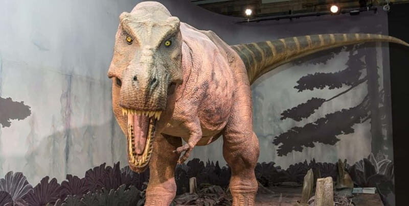 London: Natural History Museum + Guided Tour+ Priority Entry - What the Tour Includes and What to Know