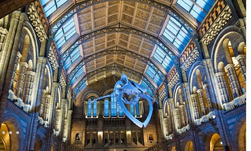 London: Natural History Museum + Guided Tour+ Priority Entry - Who Will Enjoy This Tour?