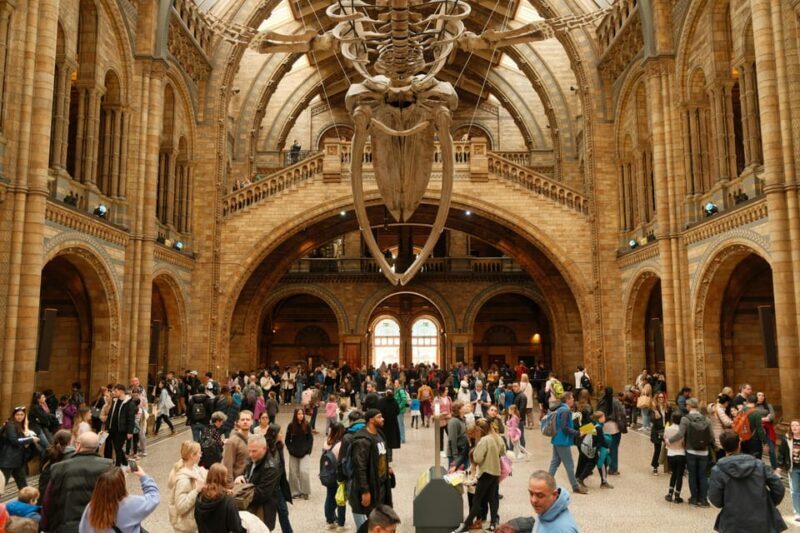 London: Natural History Museum Guided Tour - London: Natural History Museum Guided Tour – A Deep Look
