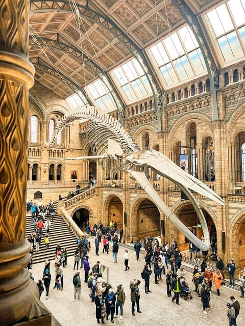 London: Natural History Museum Guided Tour - Who Will Benefit Most?