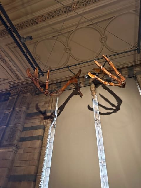 London: Natural History Museum Private Guided Tour - What Makes This Tour Stand Out?