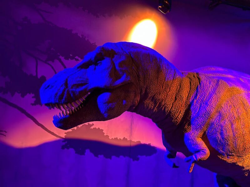London: Natural History Museum Private Guided Tour - What’s Included & What’s Not