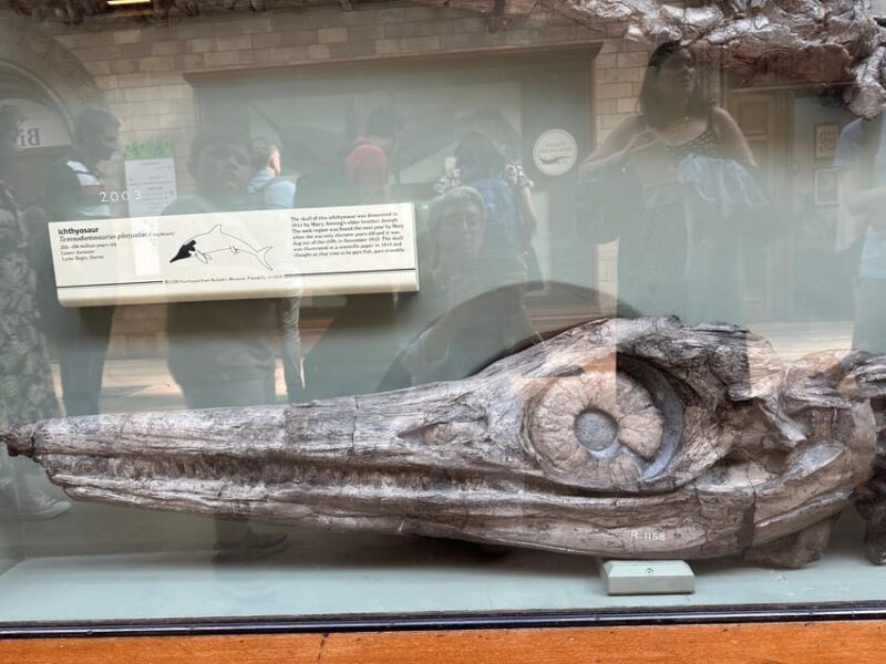 London: Natural History Museum Private Guided Tour - Who Is This Tour Best For?