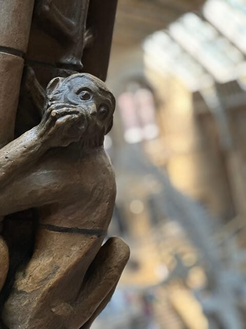 London: Natural History Museum Private Guided Tour - Final Thoughts: Is It Worth It?