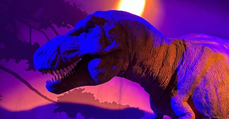 London: Natural History Museum Private Guided Tour - FAQ