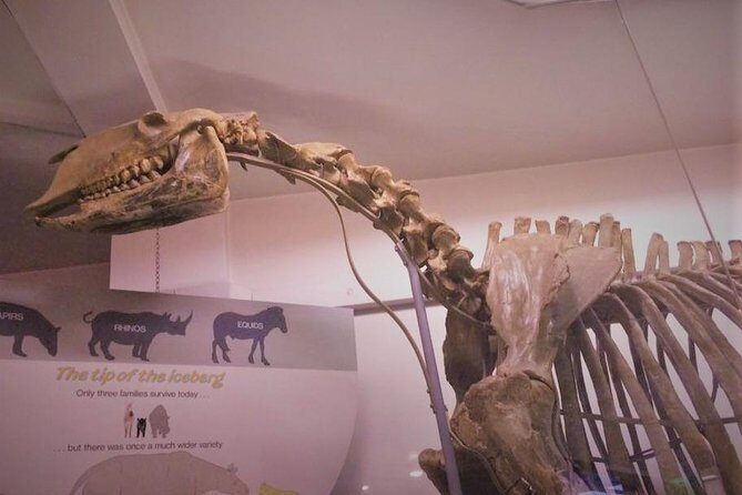 London Natural History Museum Private Tour for Kids & Families - The Itinerary: What to Expect on Your Tour