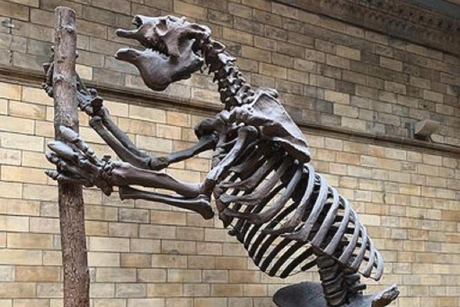 London Natural History Museum Private Tour for Kids & Families - Frequently Asked Questions