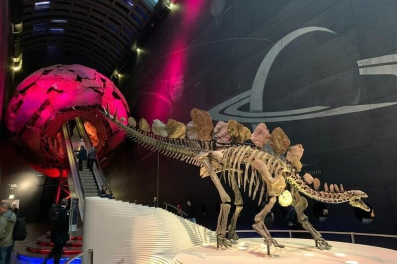 London: Natural History Museum Private Tour & Skip the line - Who Should Book This Tour?