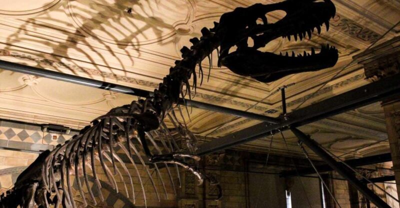 London: Natural History Museum Tour - Geological Marvels and Cultural Curiosities