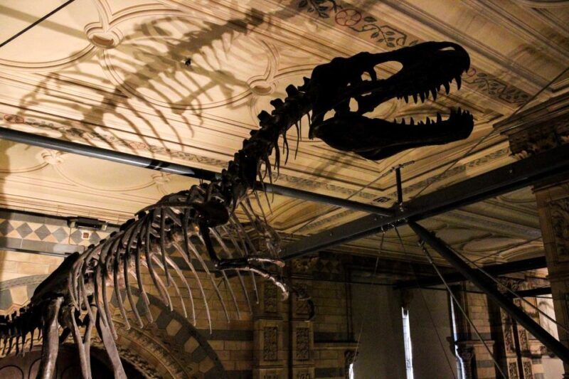 London: Natural History Museum Tour - FAQ