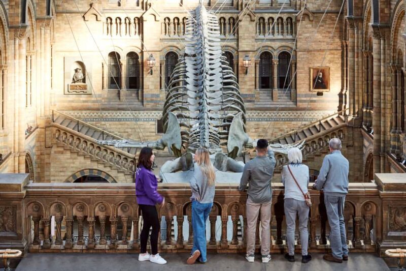 London: Official Natural History Museum Tour - Highlights - A Practical Guide to the Natural History Museum Highlights Tour